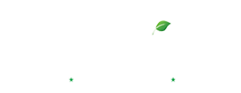 imo eco